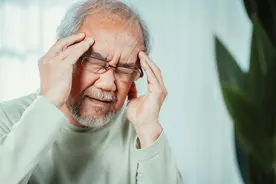 冬天用菊花搭配泡水，养肝明目，清热去火，还能驱散体内湿气！图片