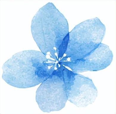 进化藏了个神仙徒步地，出片率极高！