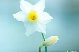 一个女人没有朋友，喜欢独处，不是性格孤僻，而是因为这三个原因图片