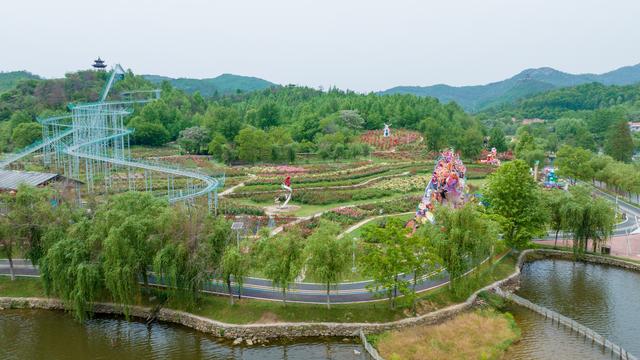 花不醉人人自醉，闯入千亩玫瑰海，醉倒在五月的香气里