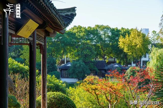 人在南京，红叶正盛，等你来～