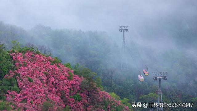 在黄陂，这样的美景你见过吗？