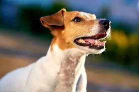 8个睡前推理小故事图片