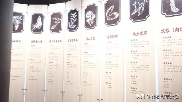 12月开放!东方山多了一处4000平方米打卡地 正打造国家5A景区