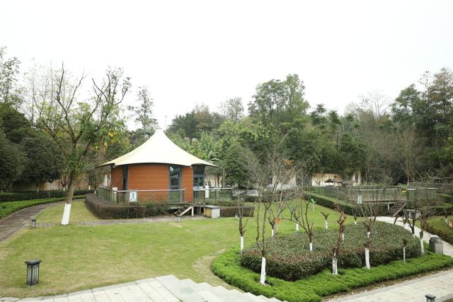 广安这个“江南院子”，藏着一个孩子的秘密乐园