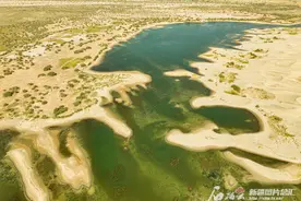 航拍新疆丨塔克拉玛干沙漠深处波光潋滟 水鸟翔集图片