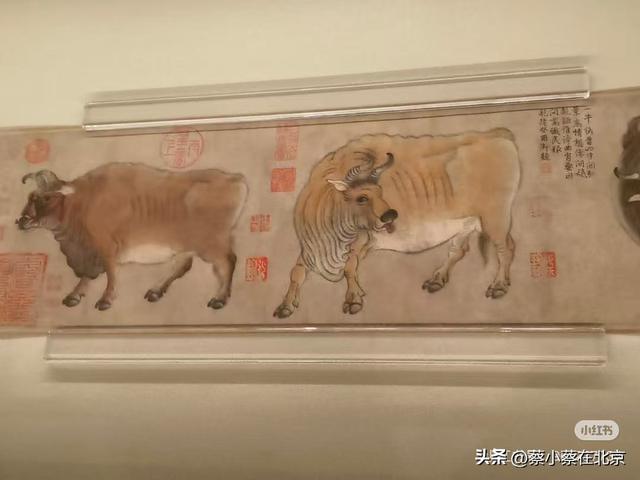 2025年9月30日，北京故宫百年大展现场发生的真实场景，快看看吧