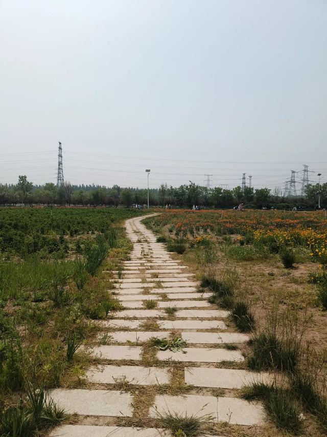 天津又一新建的公园~《山水花苑》