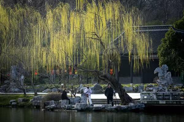 春风沉醉的瘦西湖（四）