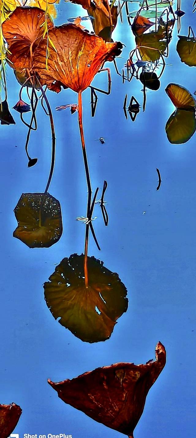 太极发劲不用硬拼！找准“腰隙”总开关，常练劲如潮涌