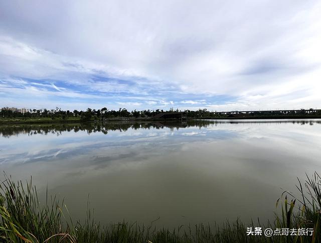 成都隐秘绿洲，三种景致如梦幻，超级惊艳，不要门票，公交直达！
