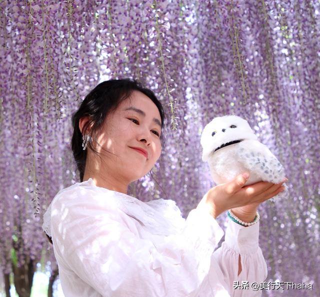 玉渊潭公园紫藤花开，诗意满满，演绎“一帘幽梦”的极致浪漫