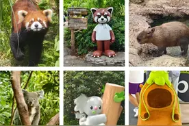 周末去哪儿玩，南京红山动物园一日游玩攻略保姆级攻略！图片