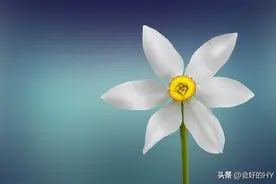 妙笔生花的神仙诗句，背下来你也是才子佳人图片