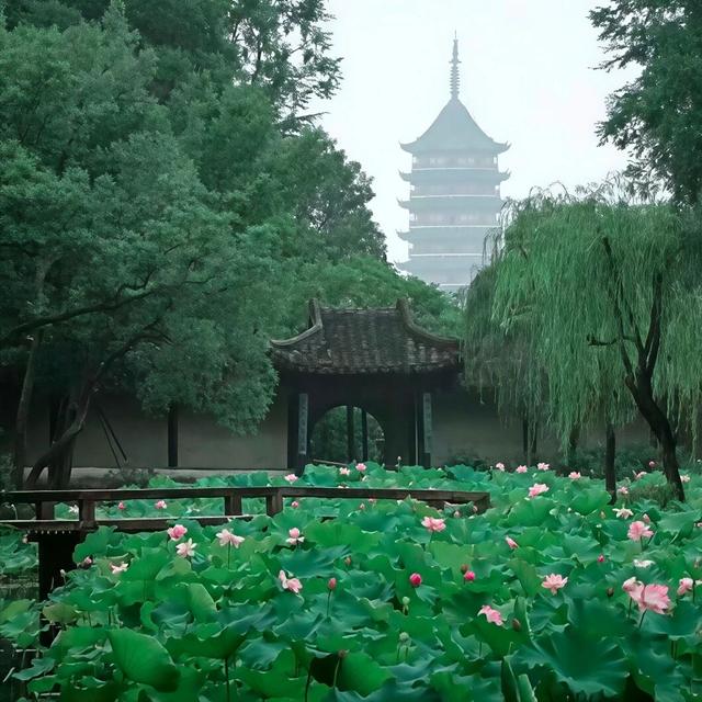 四十年前，所有人都觉得苏州疯了；四十年后，2亿游客用脚投了票