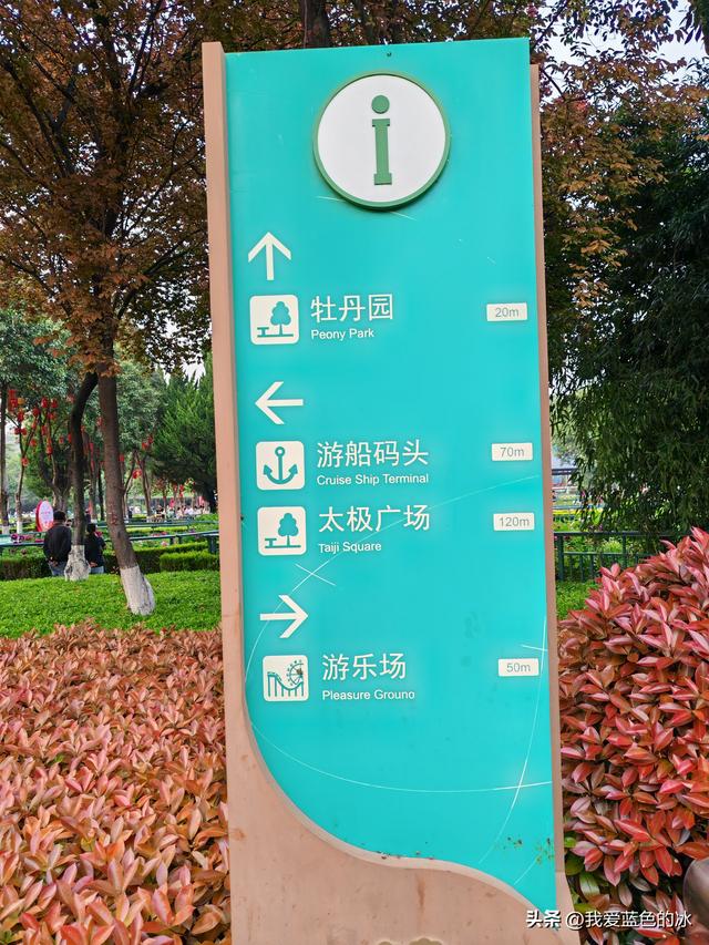 逛菏泽天香公园，这里牡丹很吸引游客，关键是二十四小时免费参观