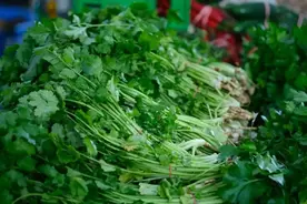 不吃香菜的人，真的亏大了！研究发现：吃香菜有3个超级好处图片