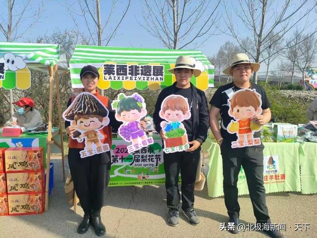 醉美梨花绽日庄 非遗焕彩润莱西｜2026莱西市第十一届梨花节圆满落幕！