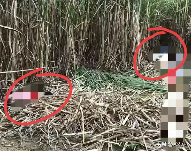 广西54岁李某已被抓获归案！被老太在山洞发现，整个人被冻的发抖