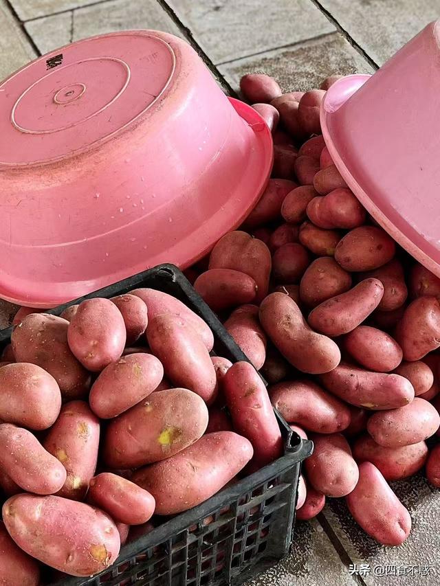 丘北，吃了十来天都不想走