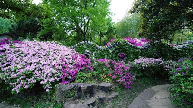 无锡这座绝美花园，免费开放了