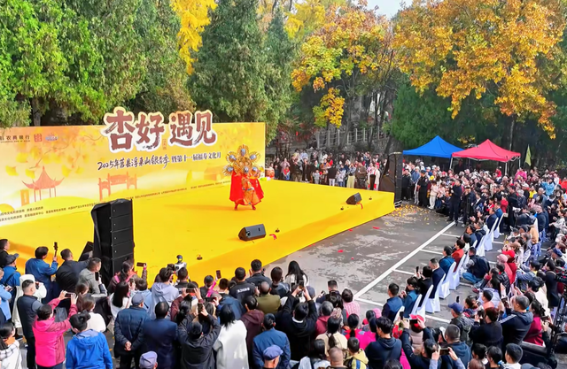 山东低调的4A景区，有棵4000年银杏树，被誉为“天下银杏第一树”