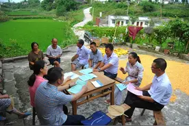 村民小组长青黄不接，村民小组长队伍建设应加强图片