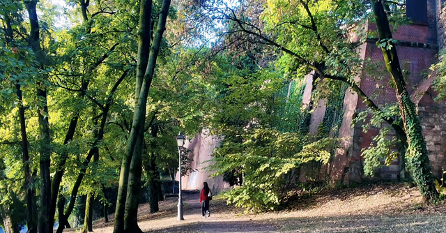 先睹为快｜匈牙利的减碳之道