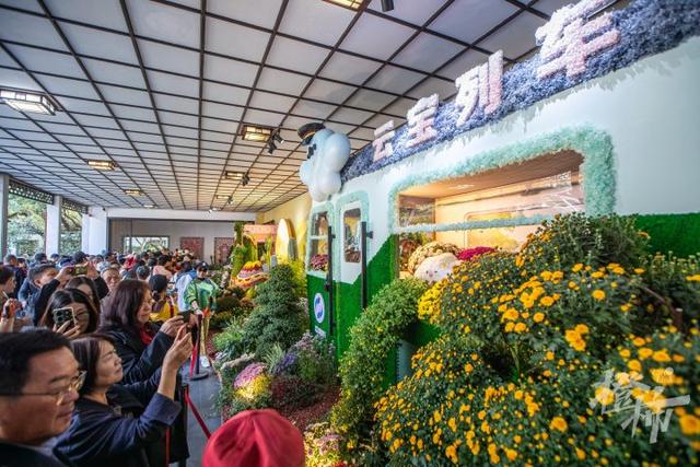 全是人人人人人！一年一度杭州“顶流”人气菊花展登场