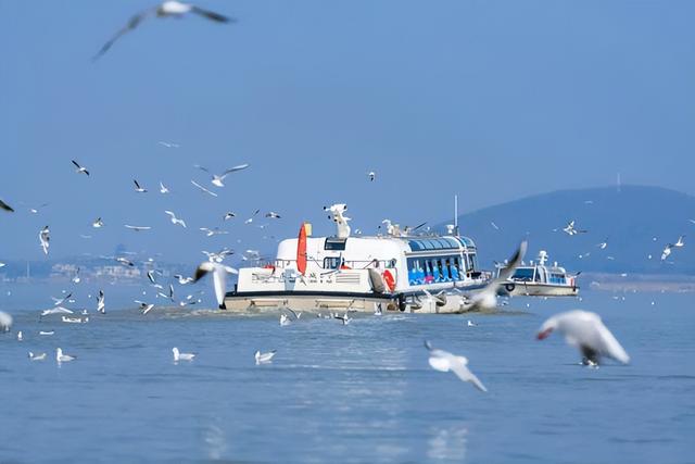 春假研学五个“最”新鲜出炉！清明假期还能约！