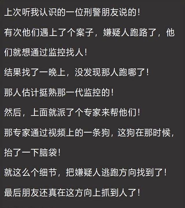 很多通过小细节被破大案！网友：这个专家是真正的专家！
