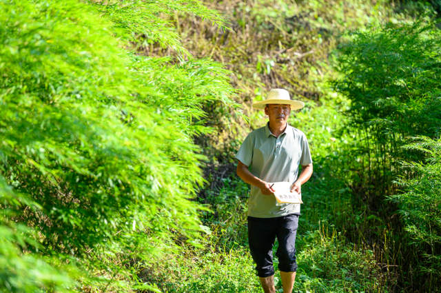 记一个让我魂牵梦绕的地方: 宜宾九丝城镇