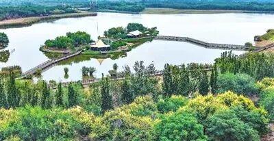 国庆假日第六天｜西青区文旅市场持续火爆，中秋主题活动精彩纷呈