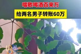 炸裂！妻子ktv消费近200万，给陪酒男模转账60万，聊天记录辣眼睛图片