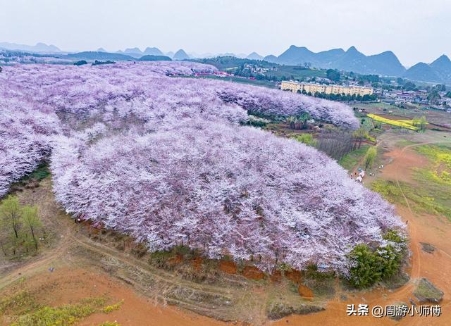 2026年4月去哪玩？国内精华10个自驾目的地路线地图集锦推荐
