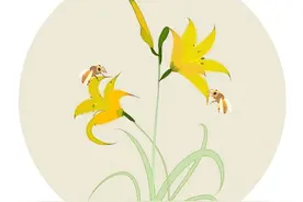 植物界的“脑黄金+血管清道夫”！春天狂吃这朵花，记忆力开挂、情绪稳如钟图片