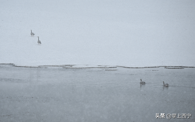 清清黄河丨风雪黄河源