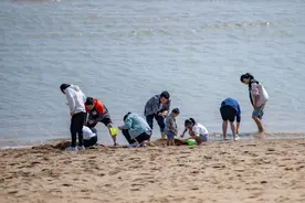 落大潮！连续三天！日照宝藏赶海地→图片
