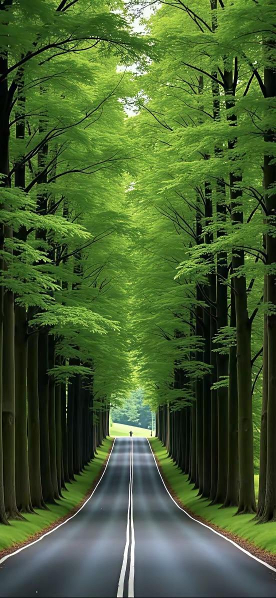 缁胯壊鎶ょ溂澹佺焊缇庡浘