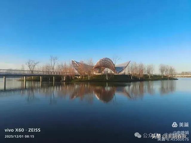 初冬北京朝阳坝河金盏淀:清寒里的静美画卷|申艳娟