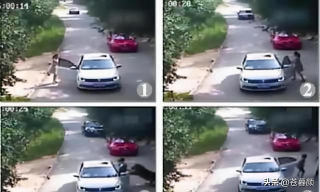16年，母亲虎口救女被咬身亡，女儿至今未得到父亲原谅：怨谁