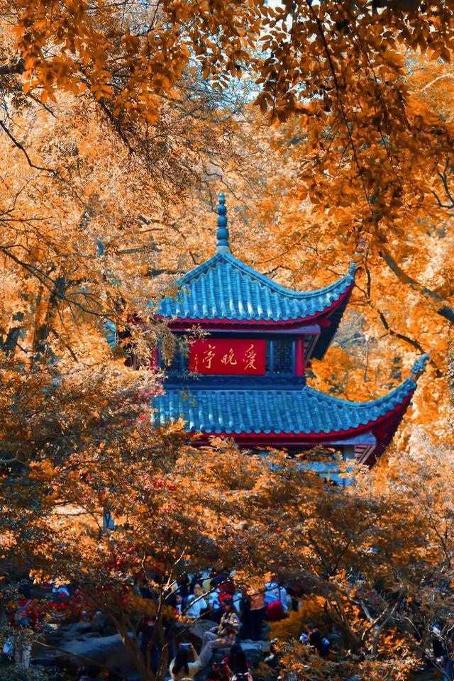 岳麓山高度多少米?让我来告诉你