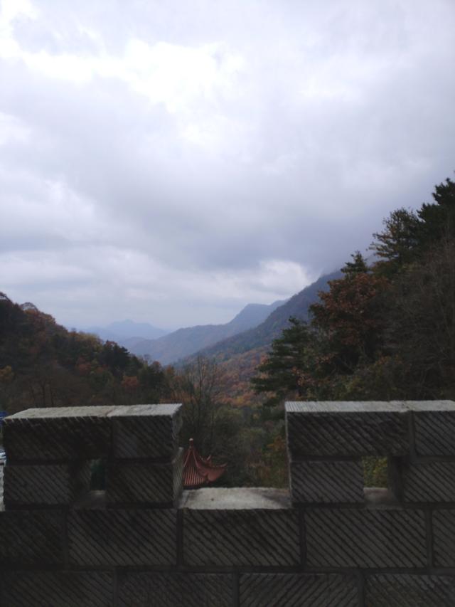 秦岭秋色里的一抹甜