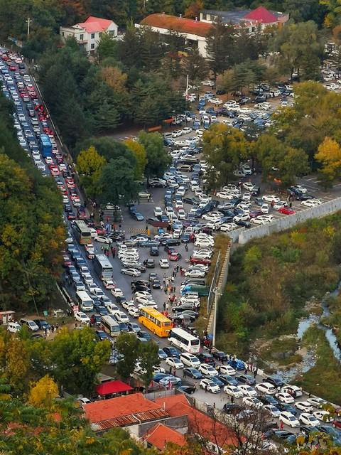 别被“赏花列车”骗了！这3趟才是真的开往春天，剩下的只是噱头