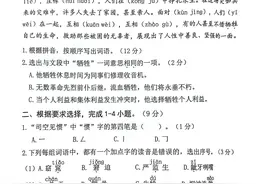 2024年六年级期末考试（小考）小升初语文试卷图片