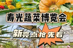 先睹为快：今年的寿光菜博会值得一看吗？图片