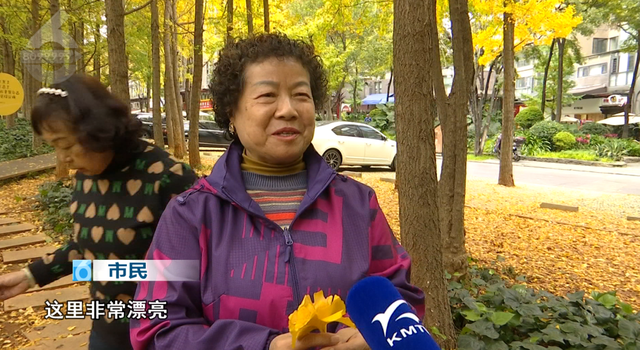 谁懂啊！昆明把冬天过成童话：观鸥、赏银杏、逛市集还能炫咖啡！