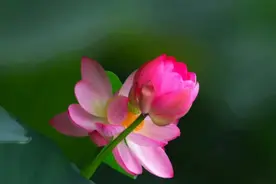 过度的追求和沉迷于色欲会带来五大果报！图片