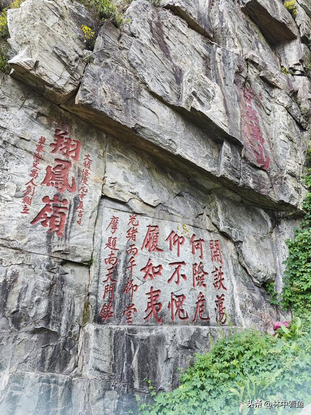 徒步登泰山之二——又是3小时，从中天门到南天门，不累！