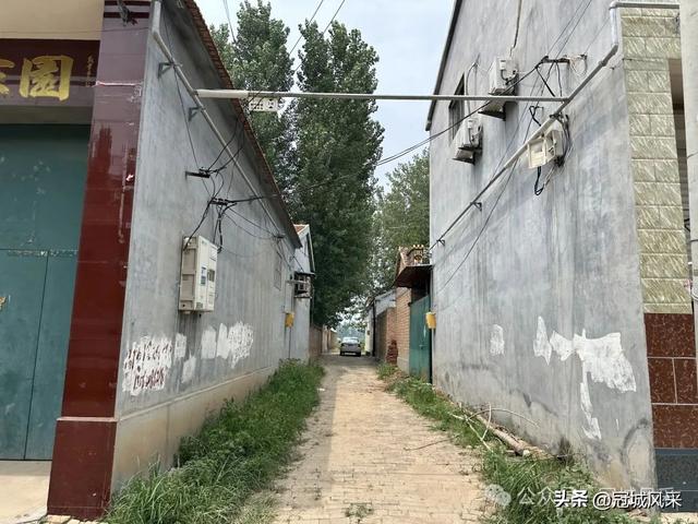 冠县乡韵·甘官屯镇太平庄